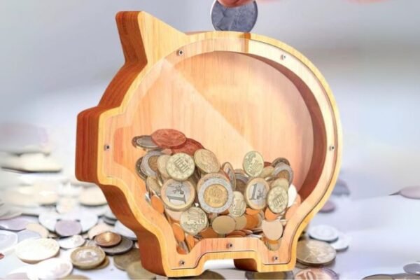 Wooden Piggy Bank Only $4.99 on Amazon (Reg. $14) | Choose from a Pig or Cat