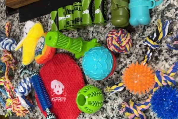 Highly Rated Dog Training Toys 25-Pack JUST $16.99 on Amazon (Regularly $20)