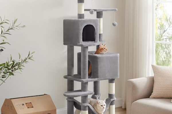 Multi-Level 61-Inch Cat Tree only $45.99 shipped (Reg. $70!)